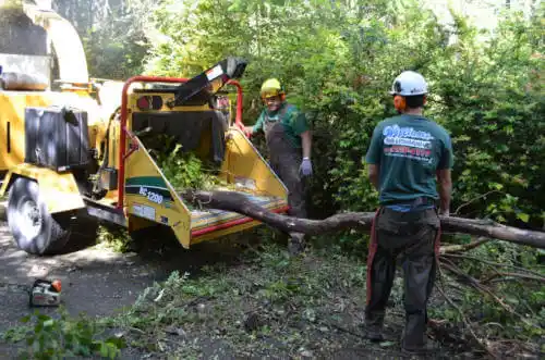 tree services Hospers